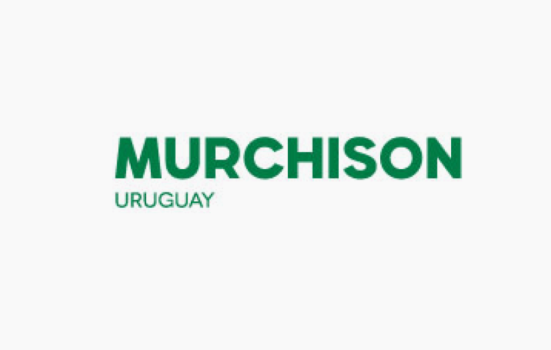 Caso de Éxito: Murchison